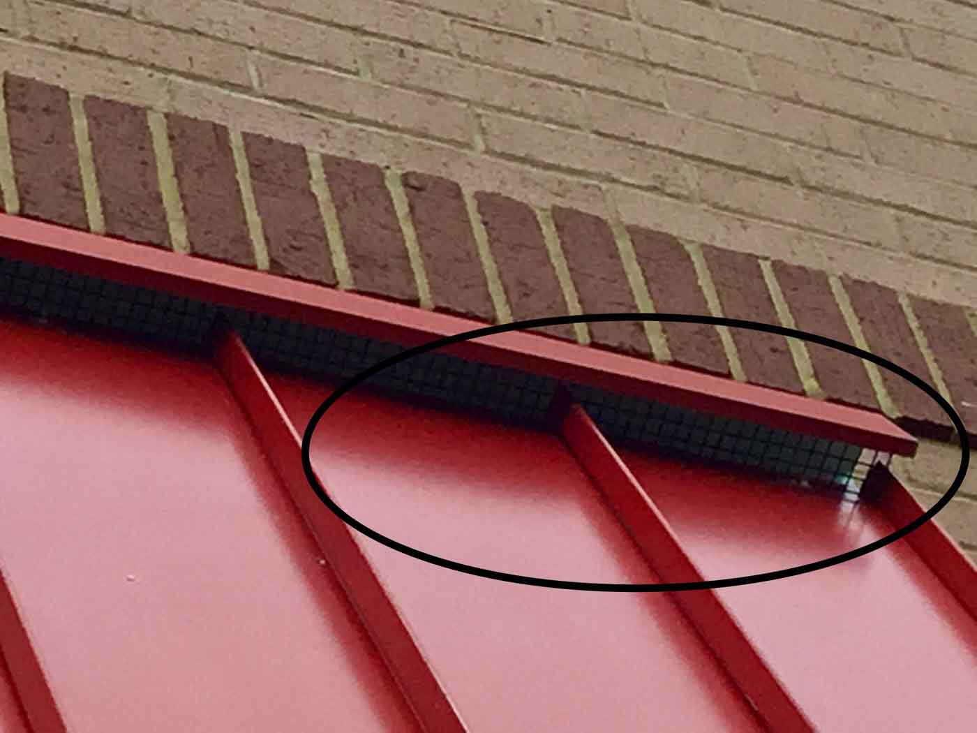 Our Approach A.J. Bird Control